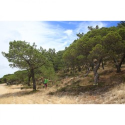 Slackline HQ 15m