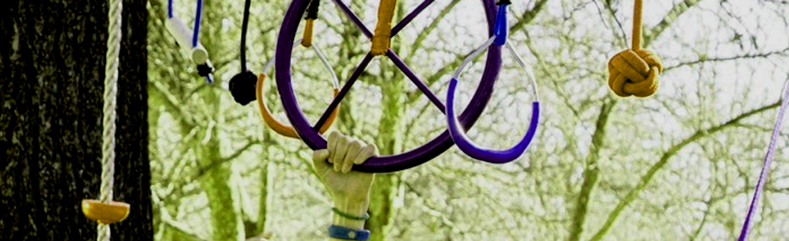 Zipline & Ninja line